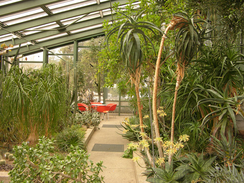 Der Garten und seine Pflanzenvielfalt: Bildergalerie Garten