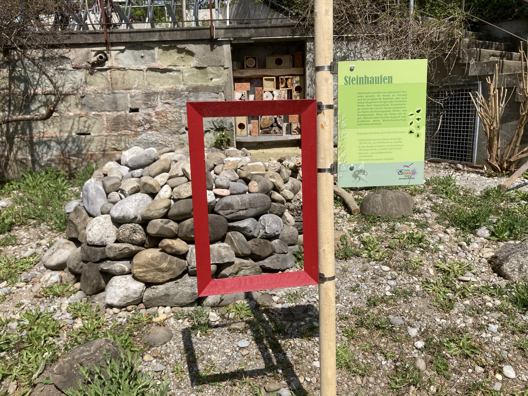 Unterschlupfmöglichkeiten für Igel, Fledermäuse oder Bienen in der Stadt? Die Sonderausstellung im BOGA zeigt biodiversitätsfördernde Kleinstrukturen zum Selbermachen. Bild: BOGA/ Deborah Schäfer