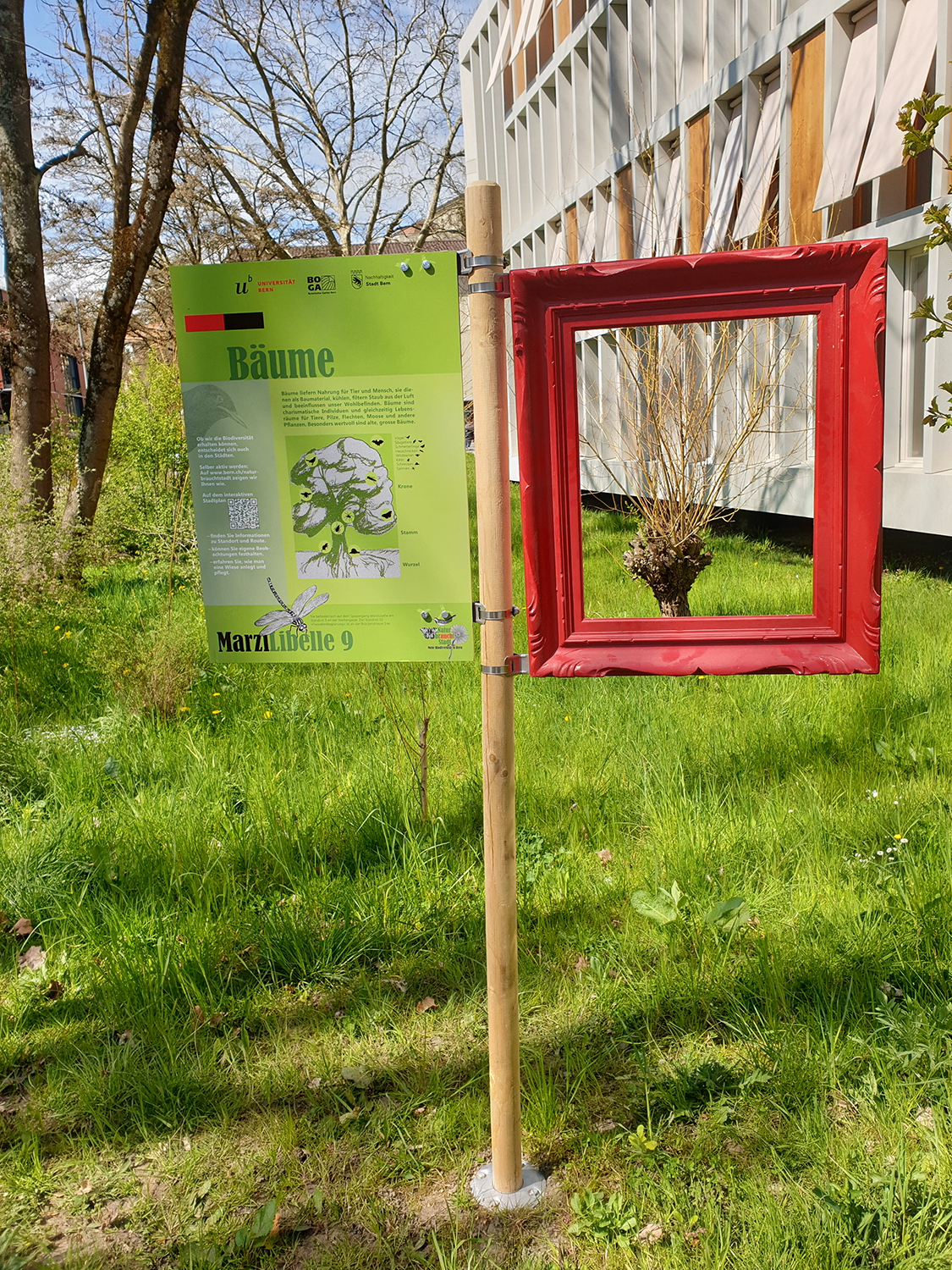 Spaziergang MarzilLibelle - Auf sieben ausgewählten Routen können Interessierte naturnahe Lebensräume in der Stadt erkunden. Bild: Stadtgrün Bern/ Bettina Bürki