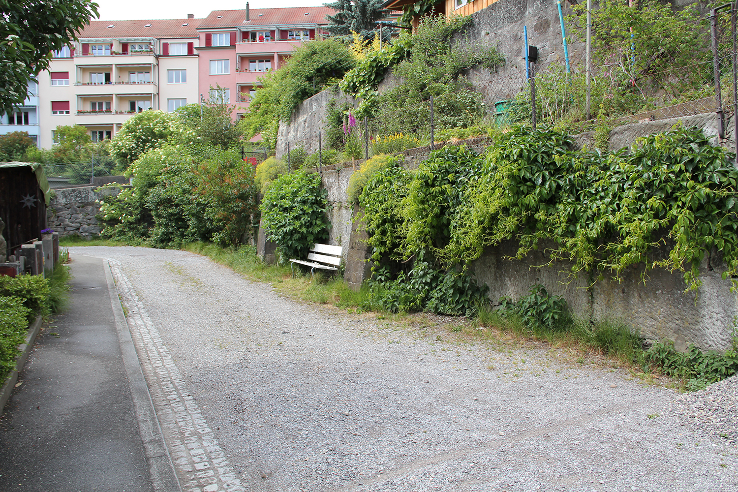 Der unversiegelte Weg, die begrünten Mauern, Säume und Sträucher bilden ein urbanes Lebensraummosaik. Bild: Stadtgrün Bern/Sabine Tschäppeler