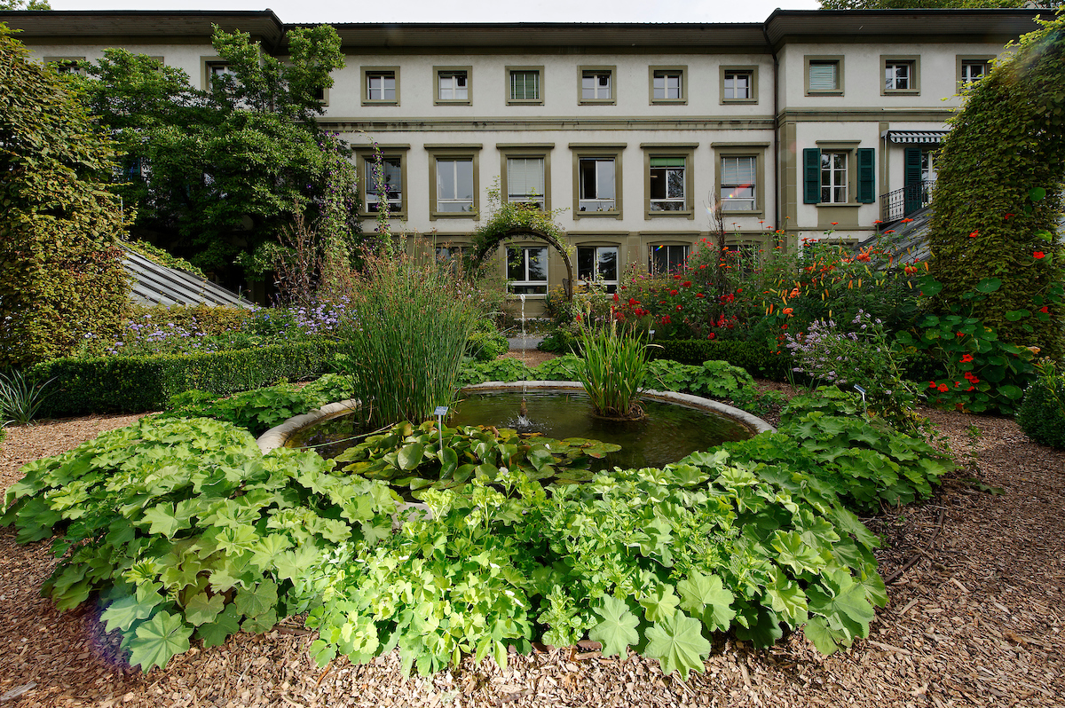 Das Institut für Pflanzenwissenschaften der Universität Bern. © Adrian Moser.