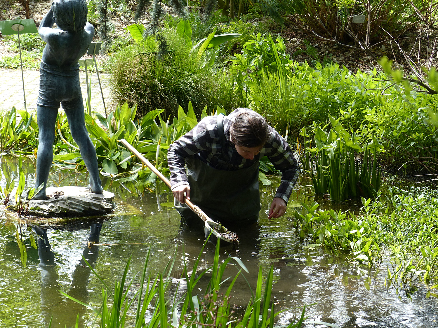 Molluskenexpertin Jeannette Kneubühler, aus der Crew des Naturhistorischen Museum Bern, beim Inventarisieren der Weichtierfauna im BOGA-Teich.   Bild: BOGA / Katja Rembold