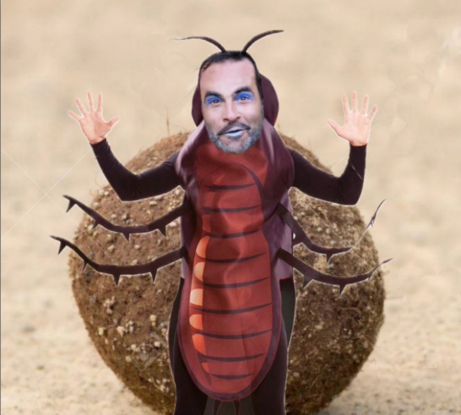 Freilufttheater «dieINsekten»