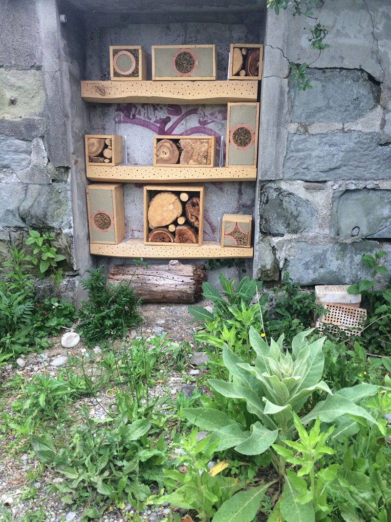 Insektenhaus bei der Ruderalfläche 2017 neu gefüllt