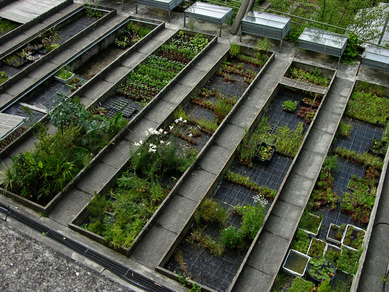 Überblick über einen Teil der Aussenanzucht des Botanischen Gartens