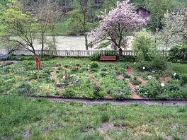 Jahreszeiten-Wildgarten