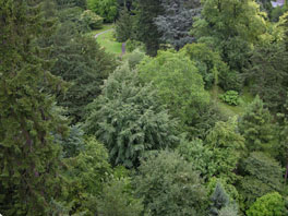 Arboretum Sommer