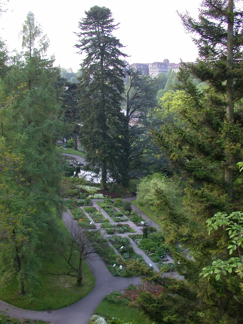 Der Heilpflanzengarten und der Teich von der Lorrainebrücke aus gesehen