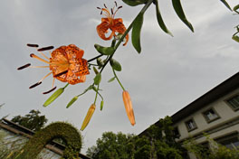 Bauerngarten und Institut Hauptgebäude