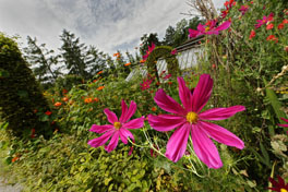 Bauerngarten