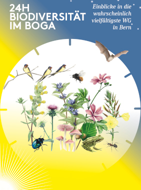 Keyvisual 24h Biodiversität