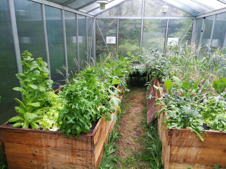Foto: Bepflanzung Klimagarten Ende Juni