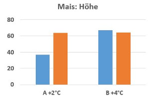 Grafik: Höhe Mais