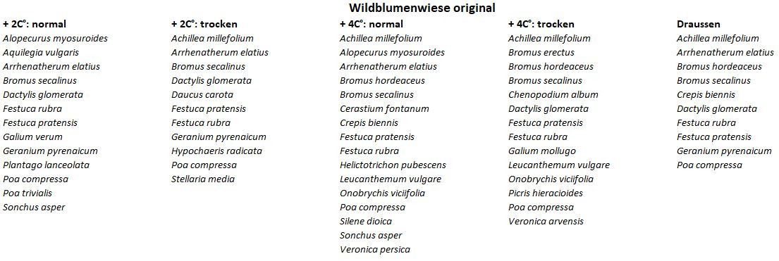 Arterhebung Klimagarten: Wiesenmischung original