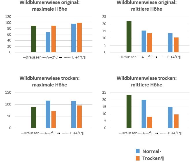 Vergleich mittlere und maximale Höhe bei Wildblumenwiese original versus Wildblumenwiese trocken