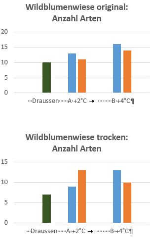 Vergleich Anzahl Arten bei Wildblumenwiese original versus Wildblumenwiese trocken. Erhebung: Deborah Schäfer (IPS)