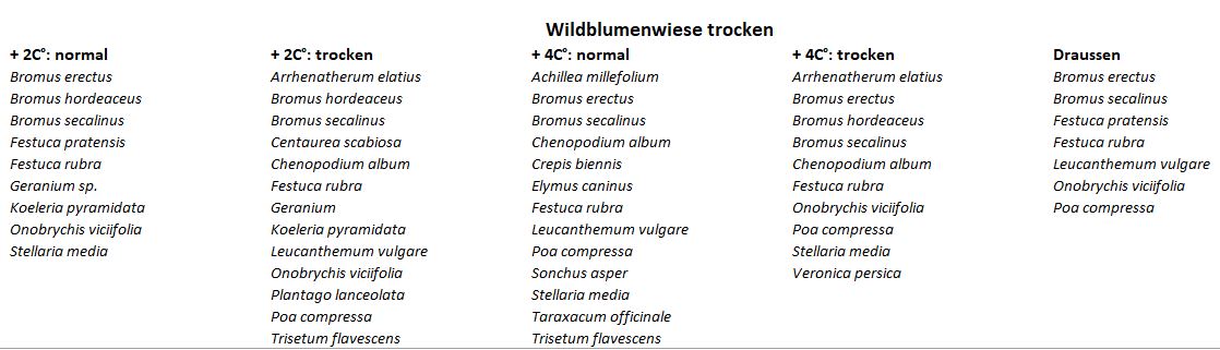 Arterhebung Klimagarten: Liste Wiesenmischung «trocken»