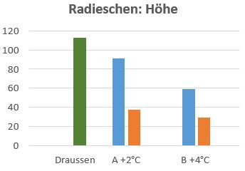 Grafik: Höhe der Radieschen