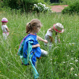 Keyvisual «Natur braucht Stadt – Mehr Biodiversität in Bern»