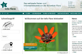 Info Flora Website