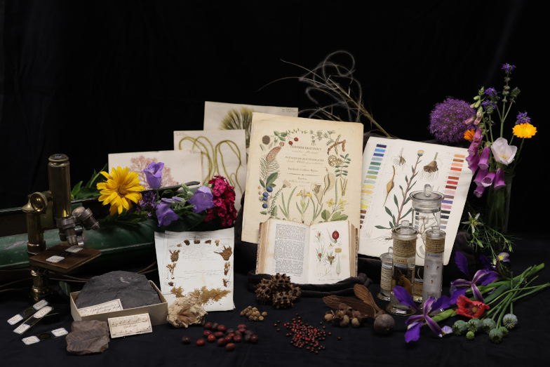 Herbarium Bernense